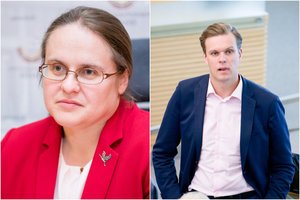 Po A. Širinskienės kaltinimų – G. Landsbergio atsakas: paaiškino, iš kur gavo beveik milijoną eurų