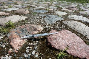 Nemalonus radinys Klaipėdoje prie parduotuvės atėmė žadą: „Tai virš visko“