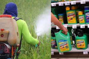 Įspėjimas ir lietuviams: vėžį sukeliantys nuodai gali slypėti daugelyje produktų