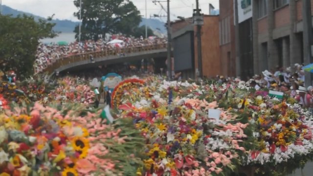 Kolumbijoje vyko įspūdingas gėlių festivalis