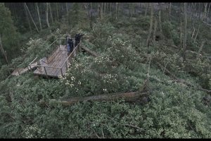 Lokarno kino festivalyje – lietuviško filmo sėkmė