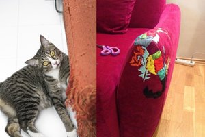 Išradingi būdai taupiems, kaip atnaujinti katino suniokotus baldus