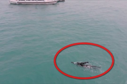 Pasiektas naujas ilgiausio plaukimo pasaulio rekordas