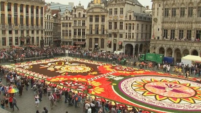 Pusė milijono gėlių žiedų nudažė centrinę Briuselio aikštę