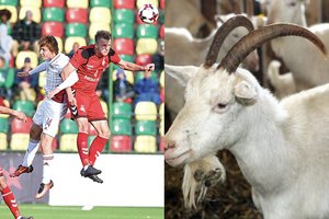 Ožkos vietoj futbolininkų: Turkijos klubas sugalvojo originalų būdą pasipelnyti