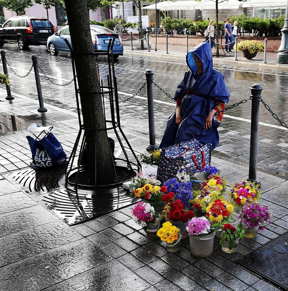 „Lietuvos Ryto“ fotografas Ramūnas Danisevičius puikias nuotraukas daro ir telefonu „Huawei P20 Pro“<br> Ramūno Danisevičiaus nuotr.