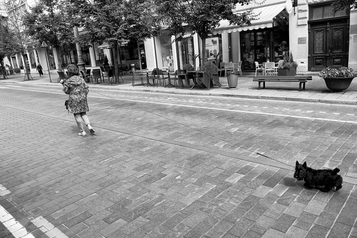 „Lietuvos Ryto“ fotografas Ramūnas Danisevičius puikias nuotraukas daro ir telefonu „Huawei P20 Pro“<br> Ramūno Danisevičiaus nuotr.