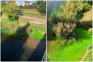 Marijampolės centre vaizdas atėmė žadą: į Šešupę tekėjo ryškiai žalios spalvos skystis