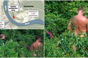 Iškrypėliai save tenkino krūmuose Vilniuje: leidžia stebėti praeiviams