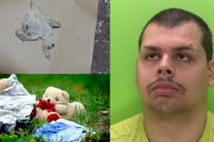 Išaiškino vaikų prievartautoją: iškrypėliškus norus tenkino naudodamas gumines pirštines