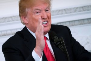 Verslo ekonomistai: Donaldo Trumpo tarifai pakenks JAV ekonomikai