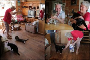 Devyniolika kačių ir šunų auginanti šeima: „Žmonių abejingumas žudo“