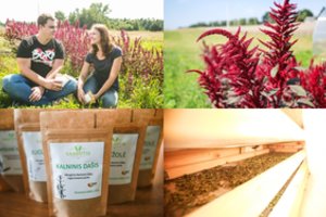 Naujas hobis paskatino įsikurti kaime – dabar produkcijos trokšta daugybė parduotuvių