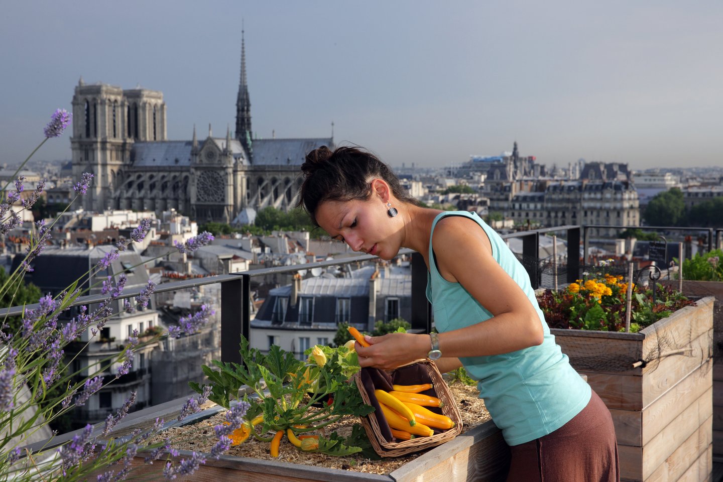  Paryžiaus valdžia užsimojo sostinę padaryti kuo žalesnę, tad miestiečiams pasiūlė pasisodinti medžių. <br>„Reuters“/„Scanpix“ nuotr. 