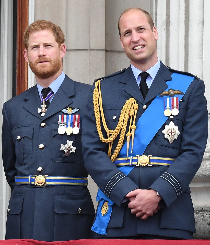  Princas Harry ir princas Williamas.<br> Scanpix nuotr.