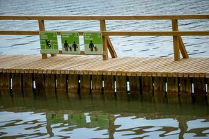Vaizdelis, kaip pliaže elgėsi jauna mama, ilgai neišėjo iš galvos