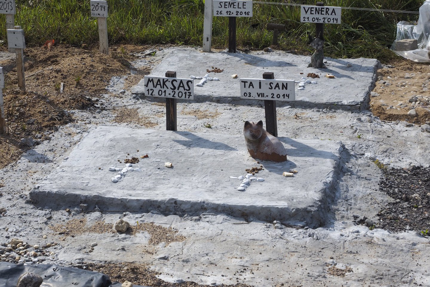Bene du dešimtmečius augintos katės laidojimas vilnietei Daivai ne juokais atsirūgo. <br>V.Ščiavinsko nuotr.