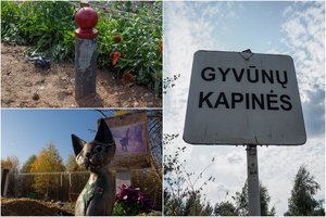 Augintinio laidotuvės tapo detektyvu – kapą teks perkelti, nes liko „už tvoros“