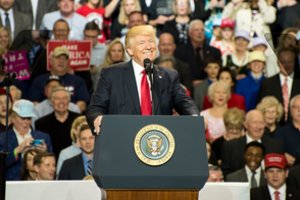 D. Trumpas prakalbo apie žingsnį, dėl kurio gali nukentėti Lietuvos eksportas