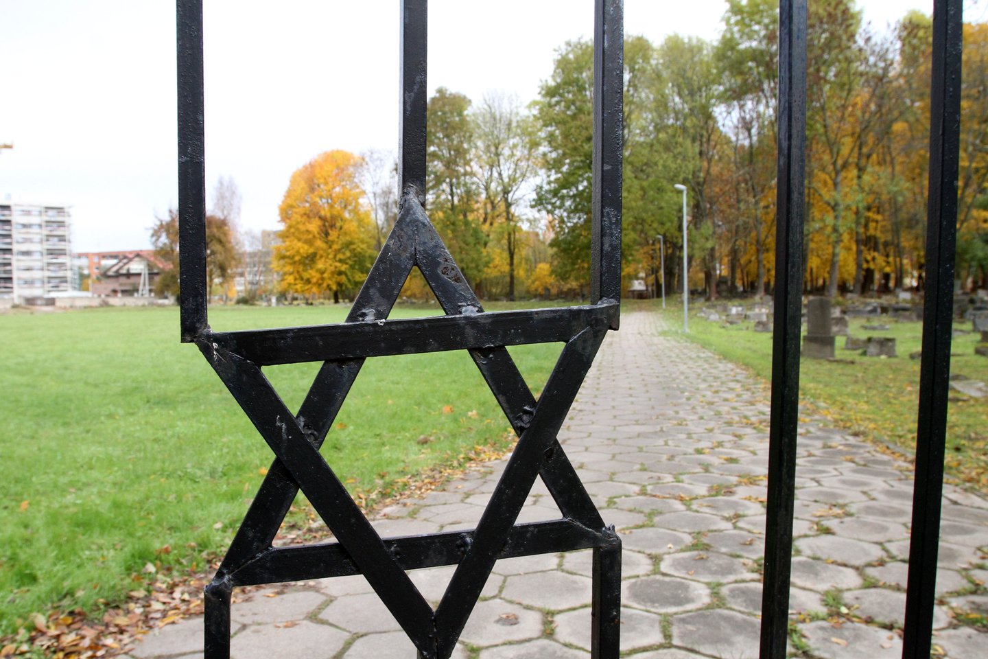 Savivaldybė rabinų atsakymo tikisi sulaukti iki rugsėjo 9 dienos. Iki tol rangovai tęs su kasinėjimu nesusijusius globos namų renovacijos darbus.<br>M.Patašiaus nuotr.