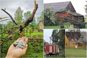 Telšių rajone siautėjo galinga audra – plėšė namų stogus, vartė medžius: „Visi meldėsi“