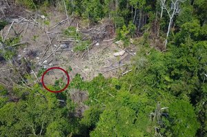 Amazonės džiunglėse atrasta nuo civilizacijos atsiskyrusi gentis