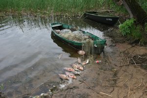 Ką daryti pastebėjus aplinkosaugos pažeidimą?