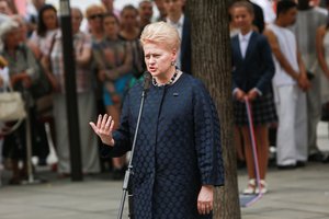 Prezidentė: gynybos ir socialinius reikalus priešinančios partijos elgiasi neatsakingai