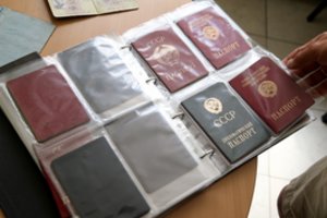 Darbo grupė dėl dvigubos pilietybės įteisinimo svarstys tam būtinas įstatymų pataisas