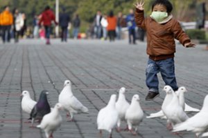 Kinijoje balandžių lenktynių dalyviai sukčiavo perveždami paukščius traukiniu