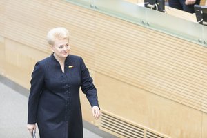 Dalia Grybauskaitė: „Sprendimas skųsti nutartį dėl CŽV kalėjimo yra Vyriausybės kompetencija“