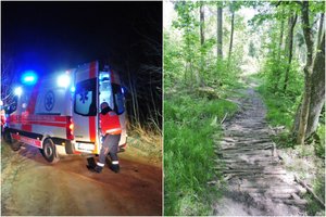 Dviratininko gelbėjimas – lyg filme: Kauno medikai iš miško tankmės vaikiną nešė 3 kilometrus