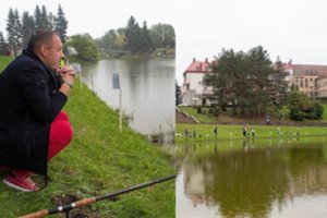 Įspūdingas laimikis Senvagėje – pagautas baltasis amūras