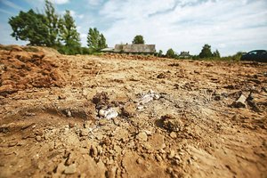 Rastos gyvūnų kapinės Aleksote atvėrė kraupias paslaptis