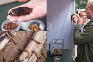 Turgus – tik drąsiems: išbandymas maistu, kurio lietuviai paprastai nevalgo 