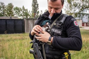 Mažytį katinėlį išgelbėję pareigūnai prašo pagalbos