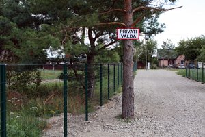 Palangoje išnuodyta beveik 180 medžių