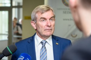Seimo pirmininkas prabilo apie stambiųjų žemvaldžių tyrimus