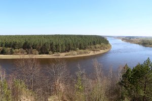 Kauno rajone parduodamos sanatorijos, pradinė kaina kukli