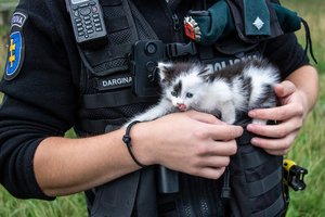 Pareigūnų rastas ir priglaustas kačiukas turi naujus namus