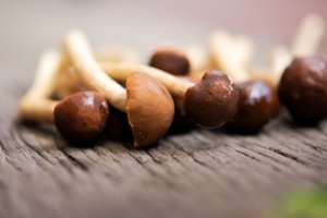 Gydytojas atskleidė, kas išties nutinka užvalgius magiškų grybų