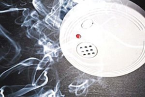 Marijampolietė keistai sureagavo į cypiantį detektorių