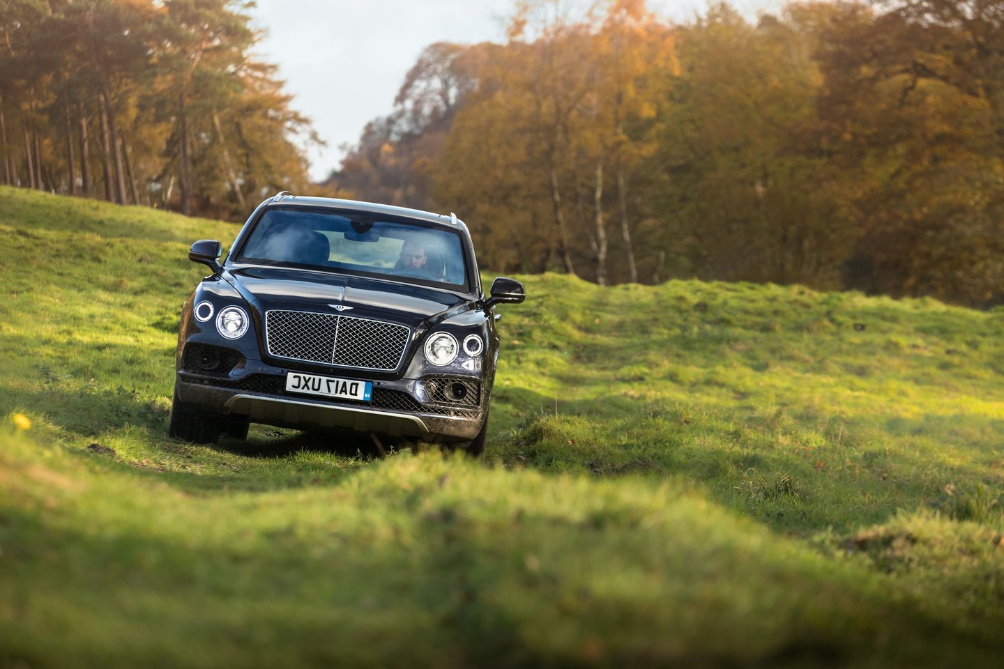  Žaidėjai ir svečiai galės iš arčiau susipažinti su „Bentley Bentayga“ ir „Continental GT“ modeliais. <br> Gamintojo nuotr.