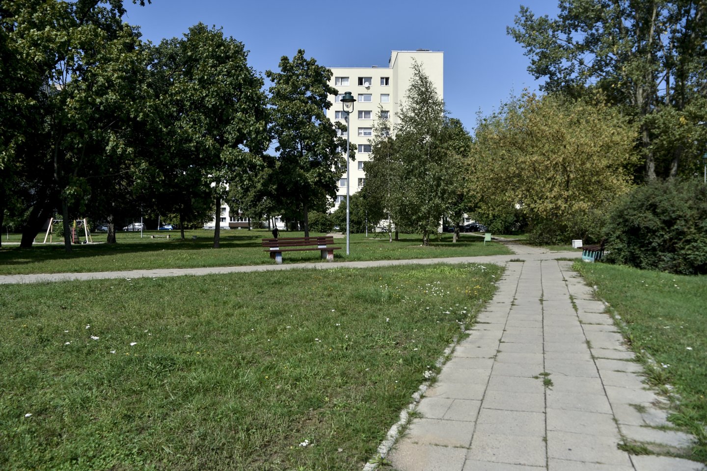 Pasak R.Rudukienės, apie 1,5 ha ploto viešojoje erdvėje ateityje gali būti įrengta aikštė, vaikų žaidimų aikštelės, takai, parko želdynai.