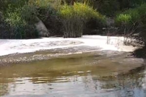 Kėdainiuose srutos į upę tekėjo dvi savaites, bet aplinkosaugininkai kaltų neranda