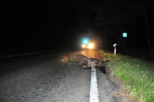 Pareigūnai įspėja: prasideda itin pavojingas metas