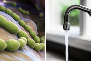 Pavojingos ligos protrūkis pasėjo nerimą: užkratas galėjo pasklisti per vandenį