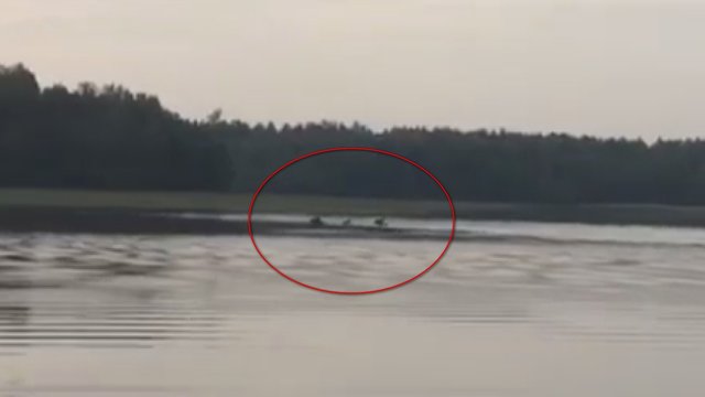 Ignalinos rajone žvejai nufilmavo pasakišką gyvosios gamtos reginį