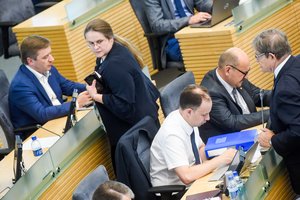 Naujoji komisija priešina Seimą – vieni nori ieškoti kaltųjų, kiti teigia – tai susidorojimas
