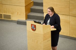 Seime valdantieji džiaugėsi – atsidūrė labai arti laikinosios komisijos įkūrimo